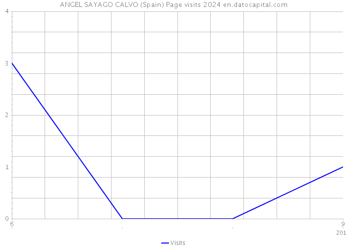 ANGEL SAYAGO CALVO (Spain) Page visits 2024 