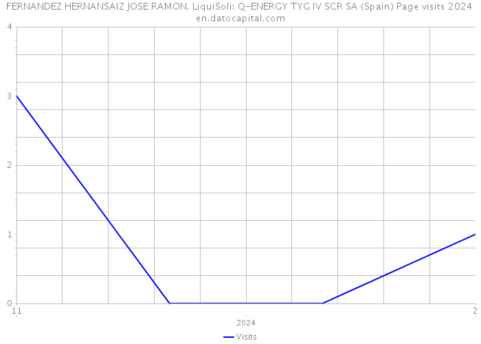 FERNANDEZ HERNANSAIZ JOSE RAMON. LiquiSoli: Q-ENERGY TYG IV SCR SA (Spain) Page visits 2024 