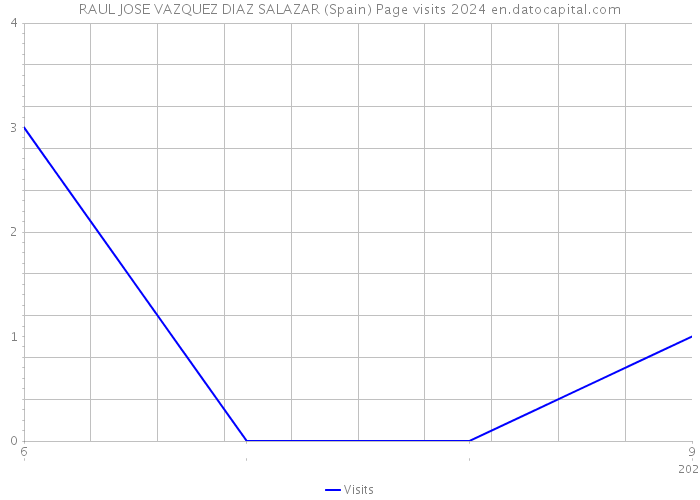 RAUL JOSE VAZQUEZ DIAZ SALAZAR (Spain) Page visits 2024 