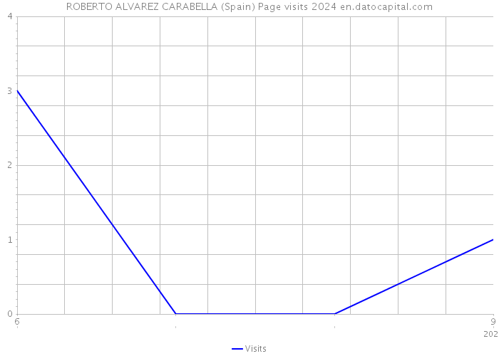 ROBERTO ALVAREZ CARABELLA (Spain) Page visits 2024 