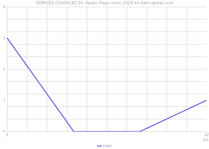 SOMOZA GONZALEZ SA (Spain) Page visits 2024 