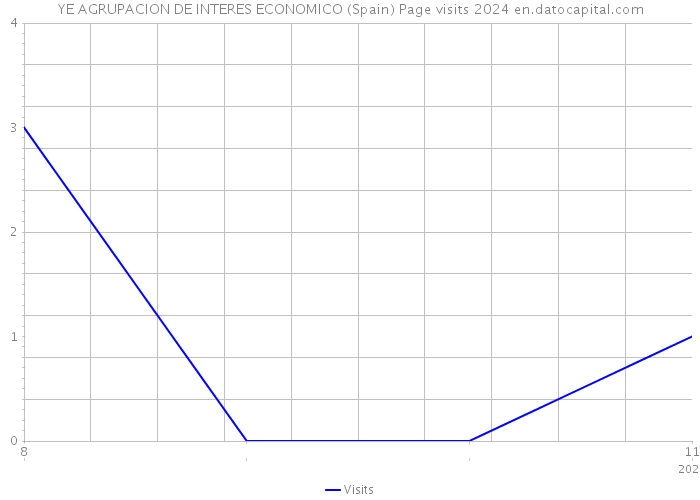 YE AGRUPACION DE INTERES ECONOMICO (Spain) Page visits 2024 