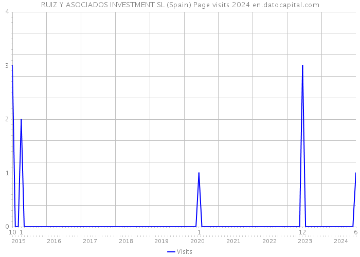 RUIZ Y ASOCIADOS INVESTMENT SL (Spain) Page visits 2024 