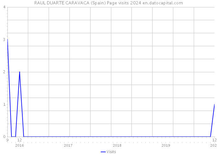 RAUL DUARTE CARAVACA (Spain) Page visits 2024 