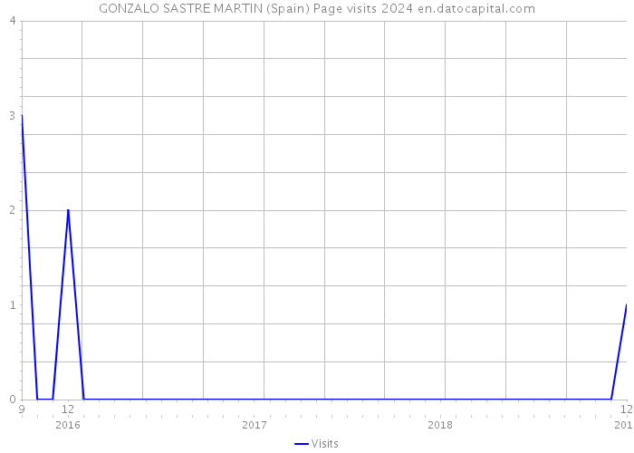 GONZALO SASTRE MARTIN (Spain) Page visits 2024 