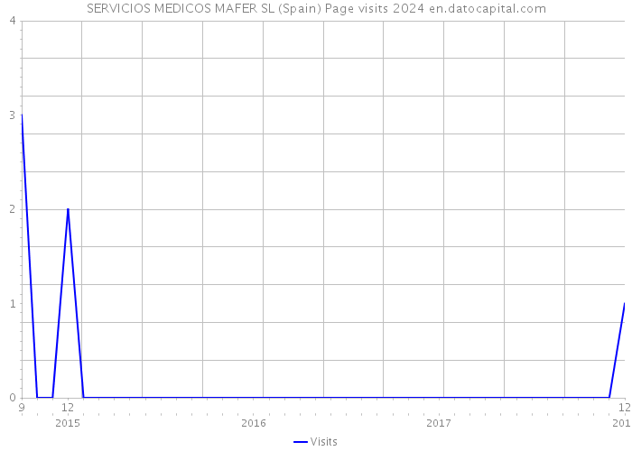 SERVICIOS MEDICOS MAFER SL (Spain) Page visits 2024 