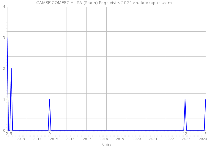 GAMBE COMERCIAL SA (Spain) Page visits 2024 