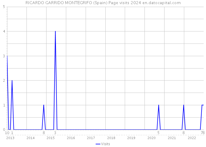 RICARDO GARRIDO MONTEGRIFO (Spain) Page visits 2024 