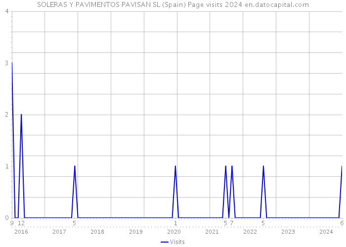 SOLERAS Y PAVIMENTOS PAVISAN SL (Spain) Page visits 2024 