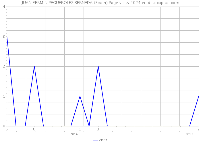 JUAN FERMIN PEGUEROLES BERNEDA (Spain) Page visits 2024 