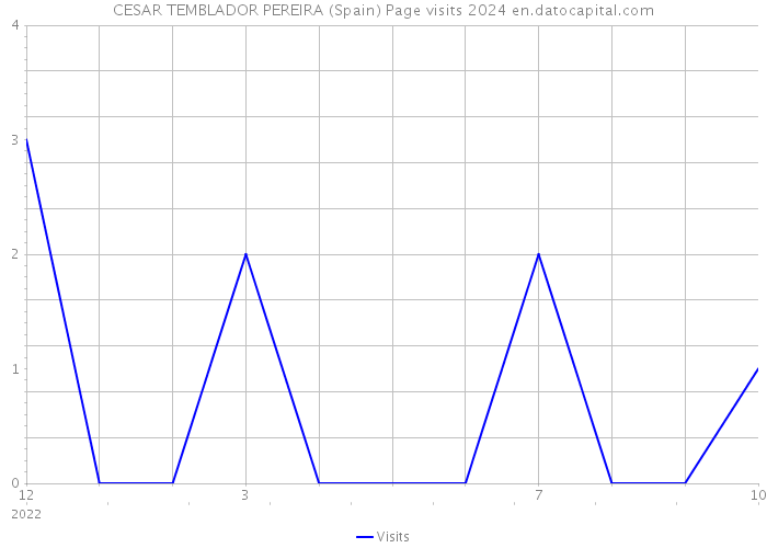CESAR TEMBLADOR PEREIRA (Spain) Page visits 2024 