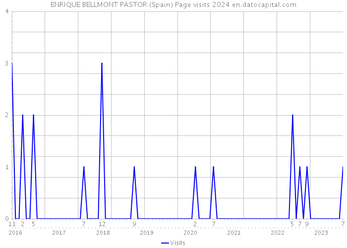 ENRIQUE BELLMONT PASTOR (Spain) Page visits 2024 