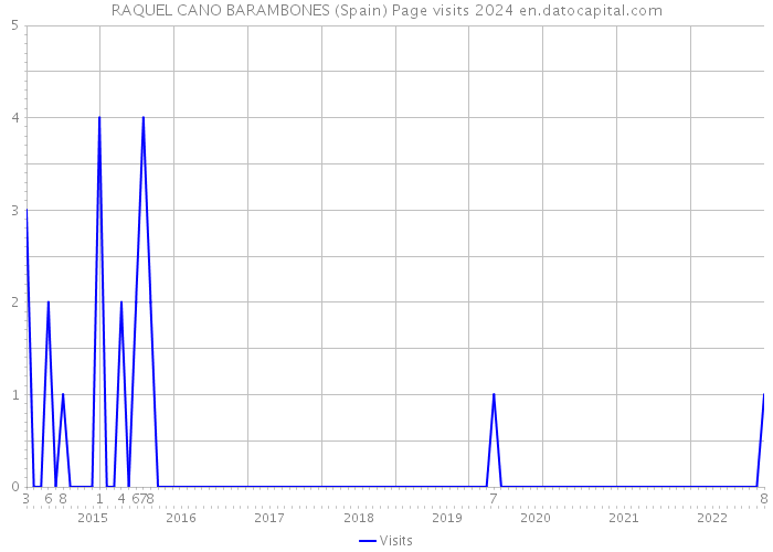 RAQUEL CANO BARAMBONES (Spain) Page visits 2024 