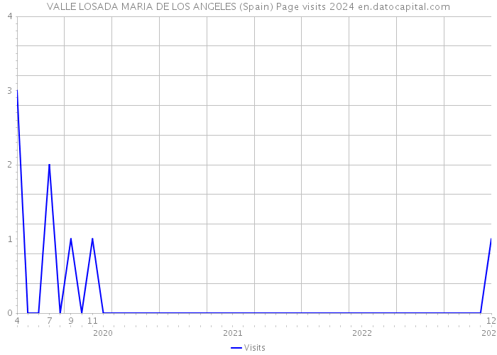 VALLE LOSADA MARIA DE LOS ANGELES (Spain) Page visits 2024 