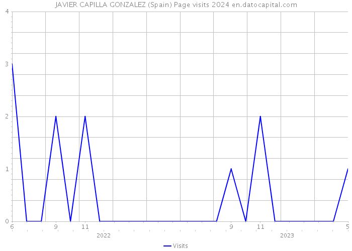 JAVIER CAPILLA GONZALEZ (Spain) Page visits 2024 