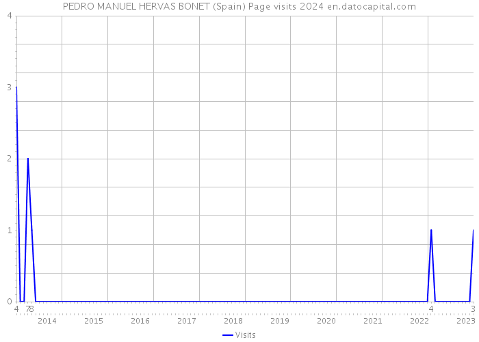 PEDRO MANUEL HERVAS BONET (Spain) Page visits 2024 