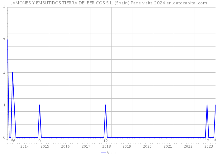 JAMONES Y EMBUTIDOS TIERRA DE IBERICOS S.L. (Spain) Page visits 2024 