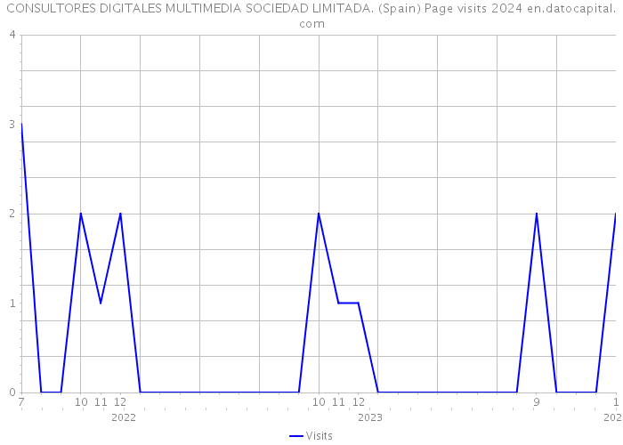 CONSULTORES DIGITALES MULTIMEDIA SOCIEDAD LIMITADA. (Spain) Page visits 2024 