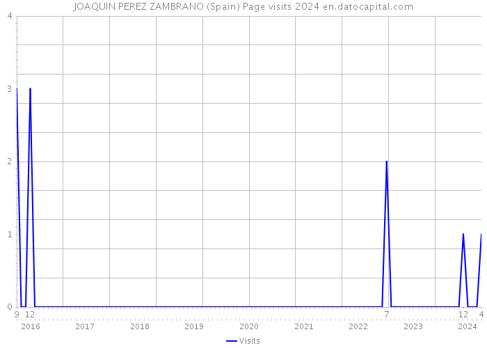 JOAQUIN PEREZ ZAMBRANO (Spain) Page visits 2024 