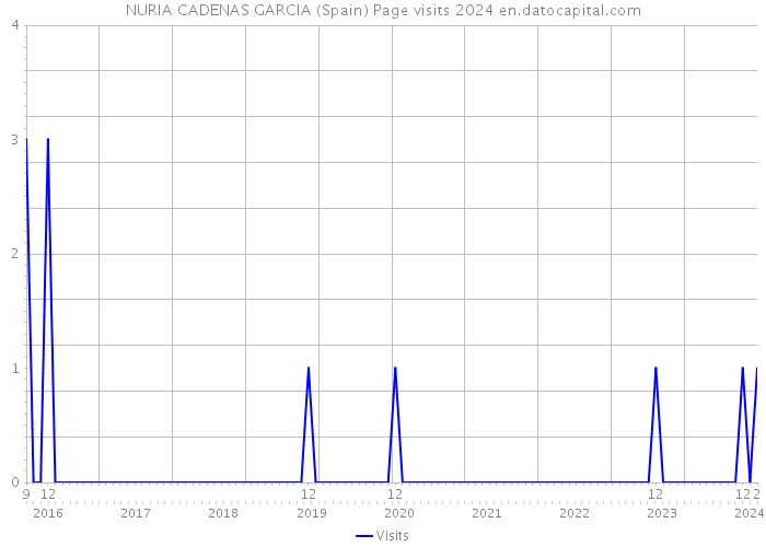 NURIA CADENAS GARCIA (Spain) Page visits 2024 