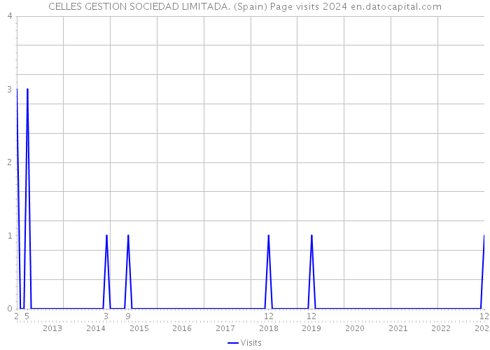 CELLES GESTION SOCIEDAD LIMITADA. (Spain) Page visits 2024 