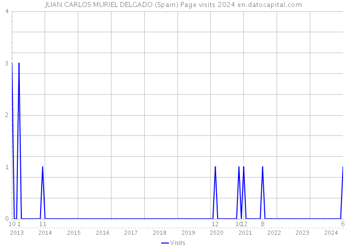 JUAN CARLOS MURIEL DELGADO (Spain) Page visits 2024 