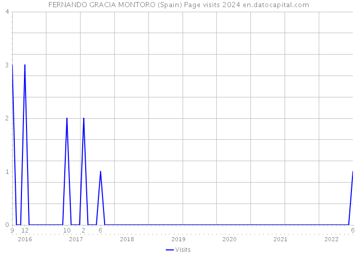 FERNANDO GRACIA MONTORO (Spain) Page visits 2024 