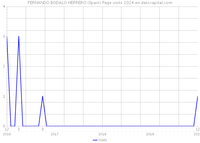 FERNANDO BODALO HERRERO (Spain) Page visits 2024 