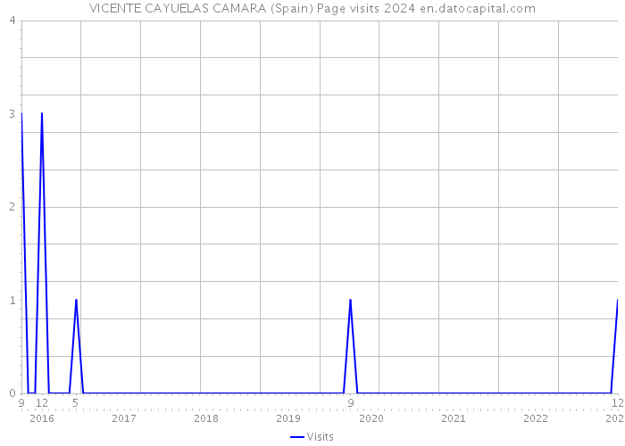 VICENTE CAYUELAS CAMARA (Spain) Page visits 2024 