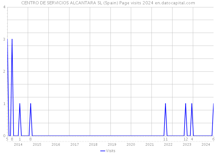 CENTRO DE SERVICIOS ALCANTARA SL (Spain) Page visits 2024 