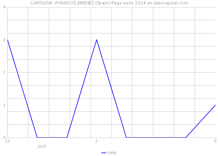 CAROLINA VIVANCOS JIMENEZ (Spain) Page visits 2024 
