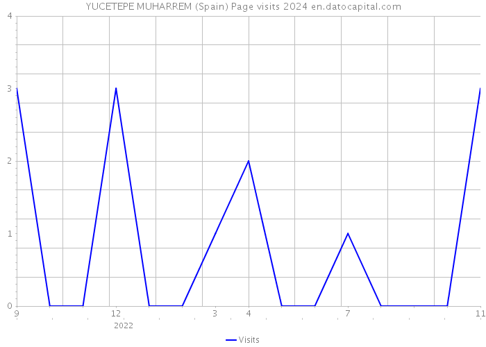 YUCETEPE MUHARREM (Spain) Page visits 2024 