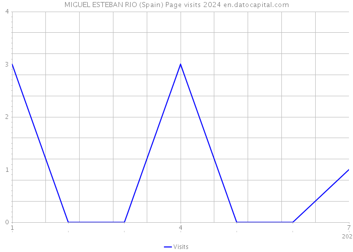 MIGUEL ESTEBAN RIO (Spain) Page visits 2024 