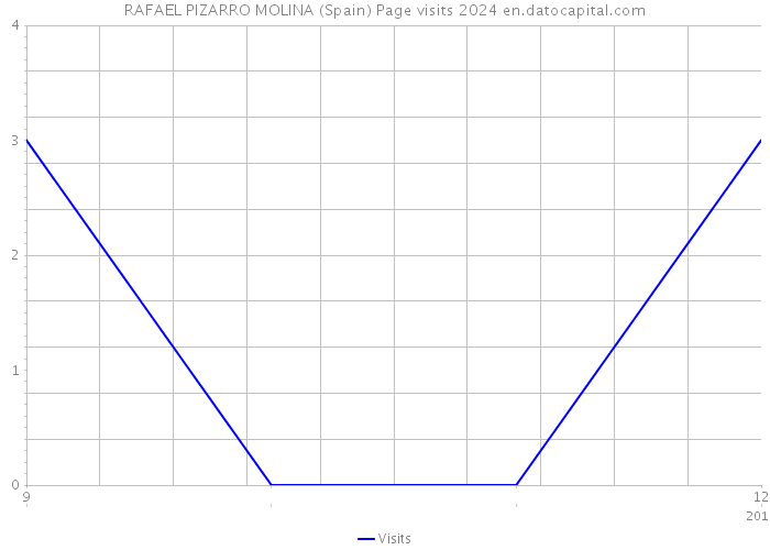 RAFAEL PIZARRO MOLINA (Spain) Page visits 2024 