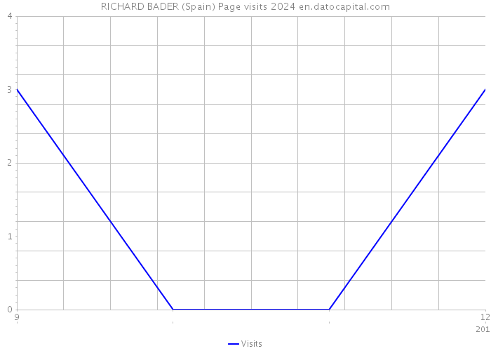 RICHARD BADER (Spain) Page visits 2024 