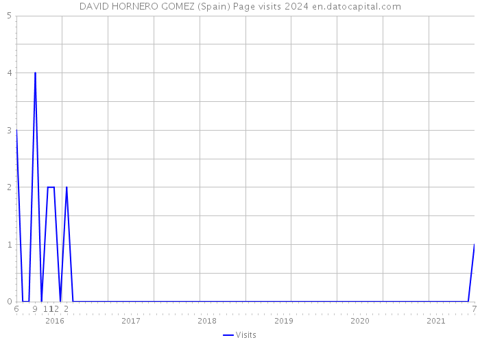 DAVID HORNERO GOMEZ (Spain) Page visits 2024 