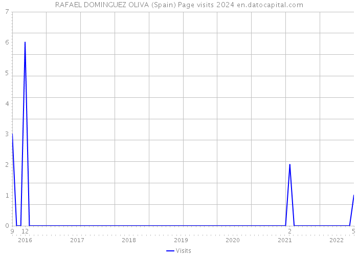 RAFAEL DOMINGUEZ OLIVA (Spain) Page visits 2024 
