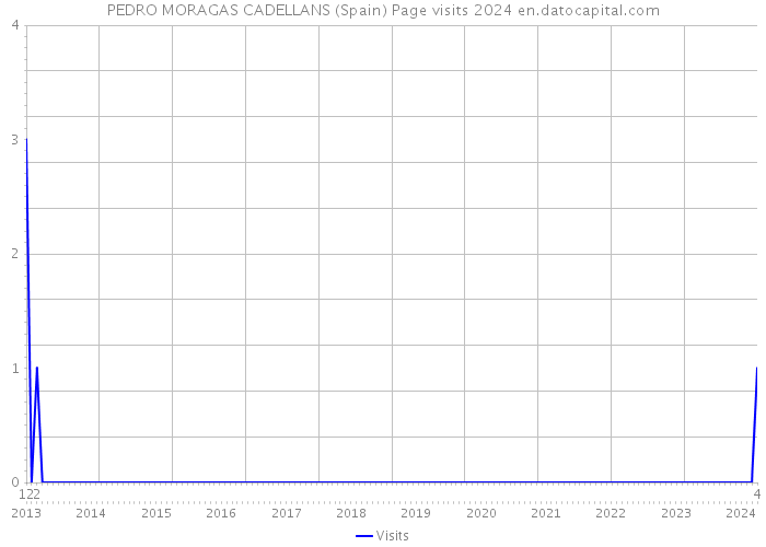 PEDRO MORAGAS CADELLANS (Spain) Page visits 2024 