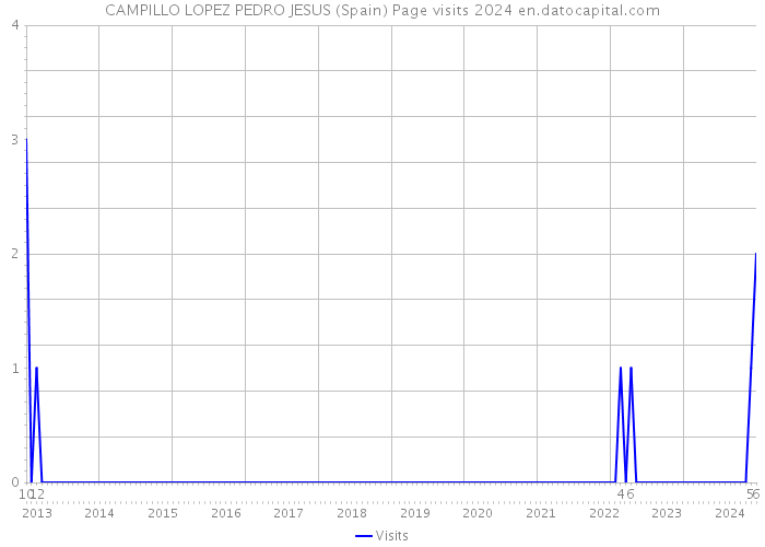 CAMPILLO LOPEZ PEDRO JESUS (Spain) Page visits 2024 