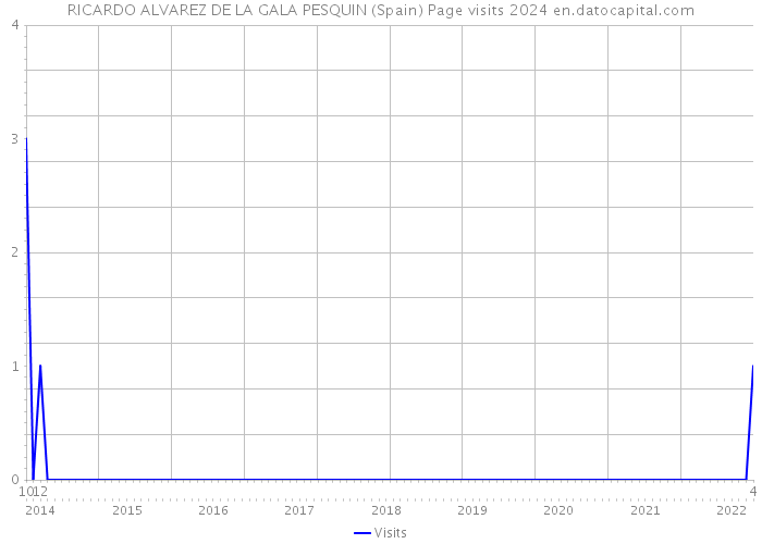 RICARDO ALVAREZ DE LA GALA PESQUIN (Spain) Page visits 2024 