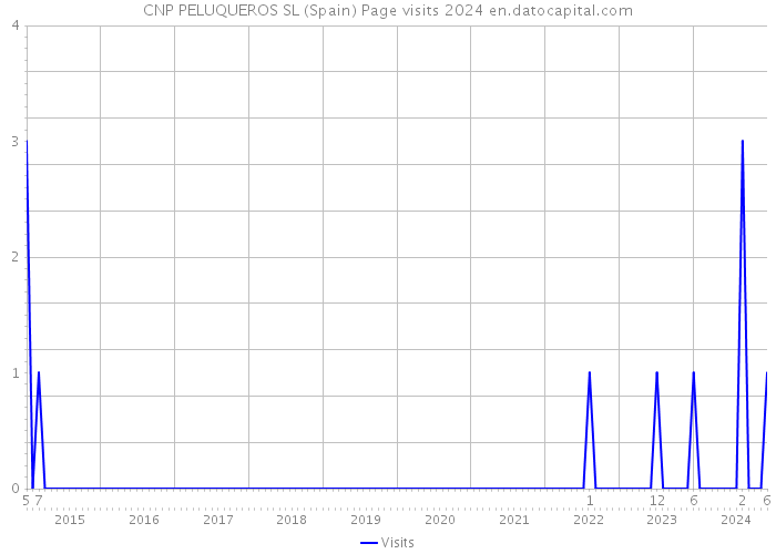 CNP PELUQUEROS SL (Spain) Page visits 2024 