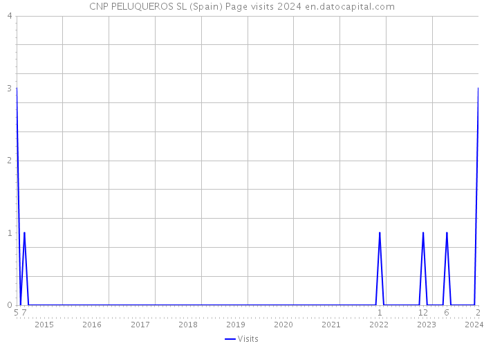 CNP PELUQUEROS SL (Spain) Page visits 2024 