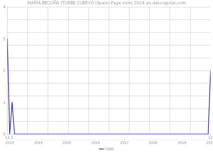 MARIA BEGOÑA ITURBE CUERVO (Spain) Page visits 2024 