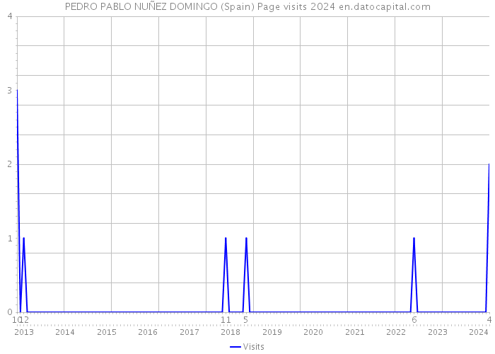 PEDRO PABLO NUÑEZ DOMINGO (Spain) Page visits 2024 