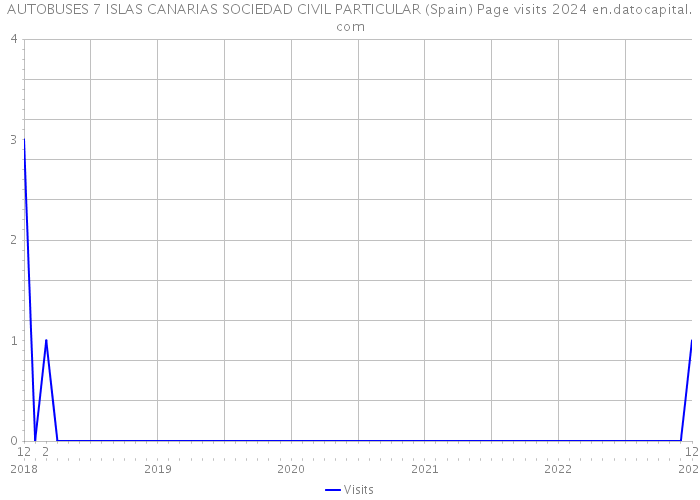 AUTOBUSES 7 ISLAS CANARIAS SOCIEDAD CIVIL PARTICULAR (Spain) Page visits 2024 