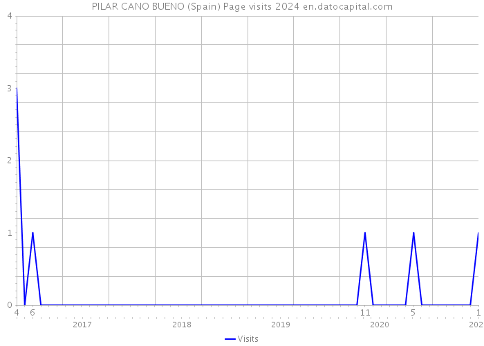 PILAR CANO BUENO (Spain) Page visits 2024 