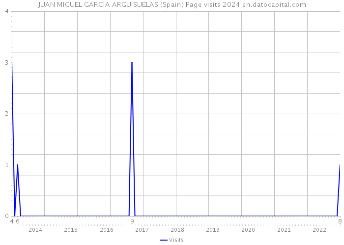 JUAN MIGUEL GARCIA ARGUISUELAS (Spain) Page visits 2024 