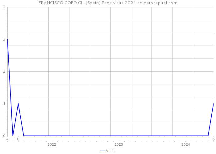 FRANCISCO COBO GIL (Spain) Page visits 2024 