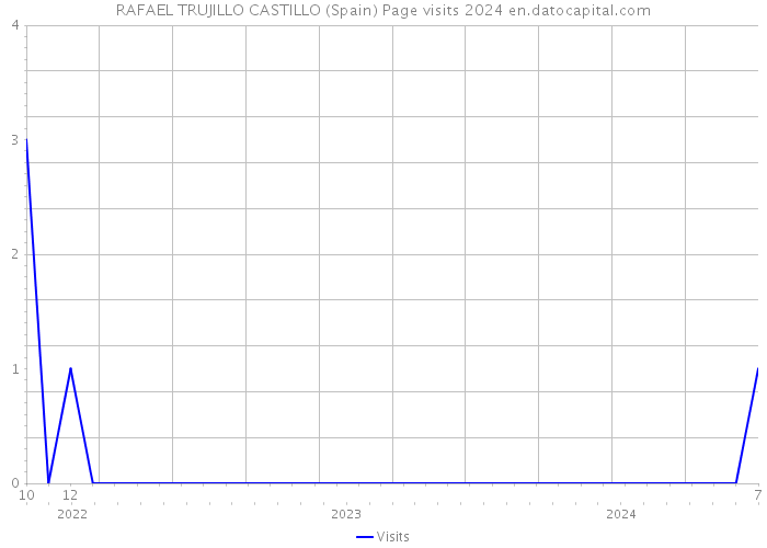 RAFAEL TRUJILLO CASTILLO (Spain) Page visits 2024 