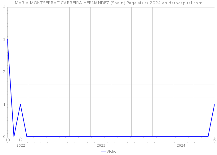 MARIA MONTSERRAT CARREIRA HERNANDEZ (Spain) Page visits 2024 